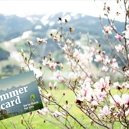 Erika - By Mynests 4*