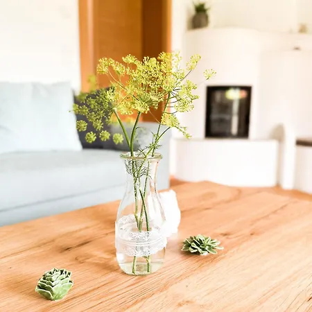 Gaestehaus Erika - By Mynests בית הארחה שלאדמינג