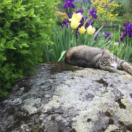 Erika - By Mynests 4*