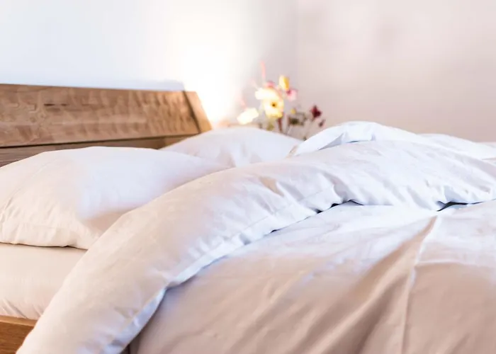 בית הארחה Gaestehaus Erika - By Mynests שלאדמינג